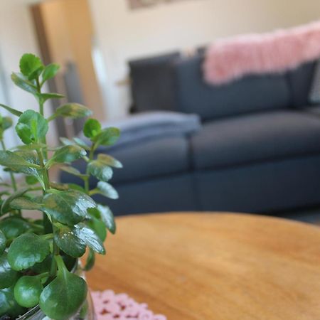 Ferienhaus Seehuis, Sauna, Angeln, Familienfreundlich Twist Luaran gambar